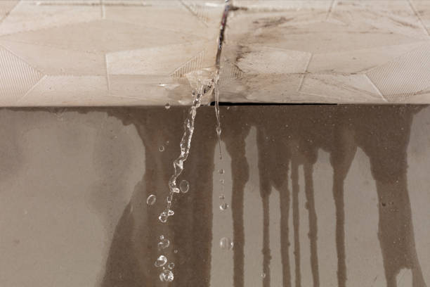 Professional Burst Pipe Cleanup technician working in Horn Lake, MS